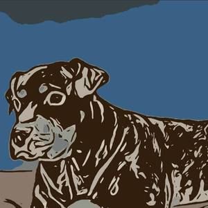 Meet your Posher, Aryana